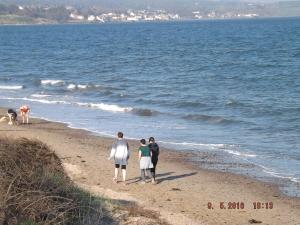 DSCF3635.JPG