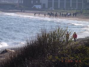 DSCF3639.JPG
