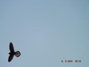 DSCF3637.JPG
