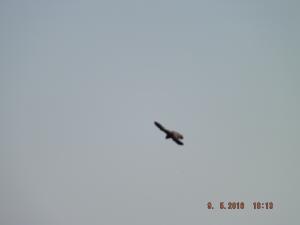 DSCF3638.JPG