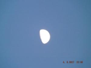 DSCF4159.JPG