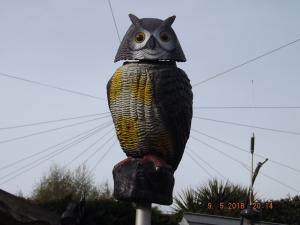DSCF5056.JPG