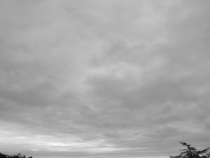2011_0604FORTH4june0002.JPG