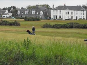2011_0615shoreheadlum15june0007.JPG