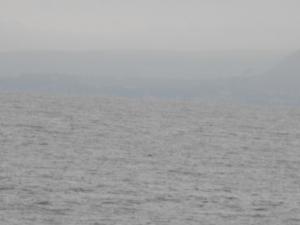 2011_06250001.JPG
