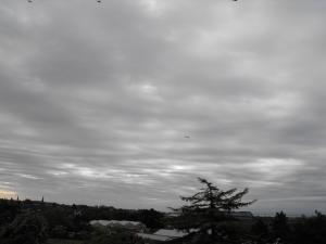 2012_06020010.JPG