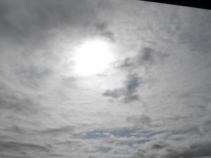 update2-6-12 001.JPG