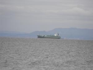 forthupdate2-6-12 001.JPG