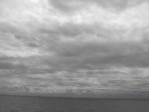 forthupdate2-6-12 003.JPG