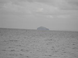 forthupdate2-6-12 004.JPG