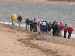 forthupdate2-6-12 005.JPG