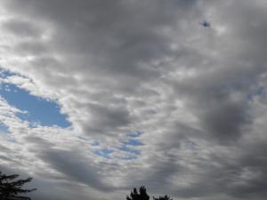 queenforth9.6 017.JPG