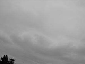 forth10.6 003.JPG