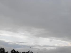 forth23.6.12 002.JPG