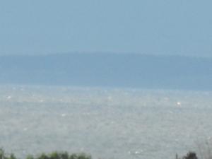forthupdate236 003.JPG