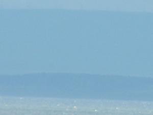 forthupdate236 004.JPG