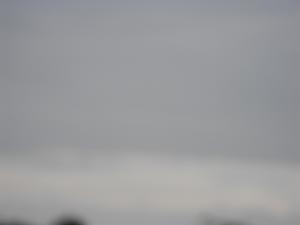 forth24.6.12 003.JPG