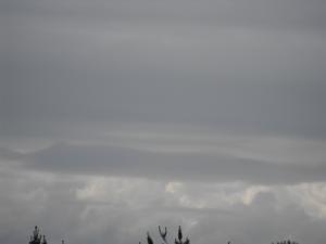 forth24.6.12 004.JPG