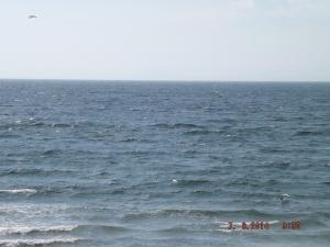 DSCF2582.JPG