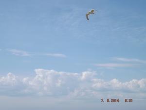 DSCF2584.JPG