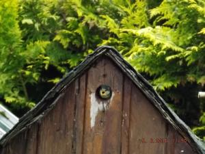 DSCF2563.JPG