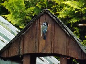 DSCF2568.JPG