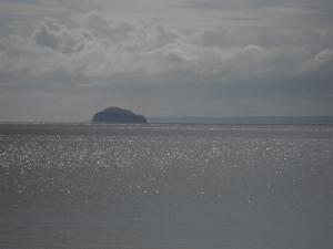 DSCF3126.JPG