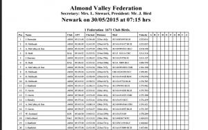 almond valleynewark.jpg