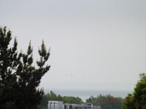 DSCF3780.JPG