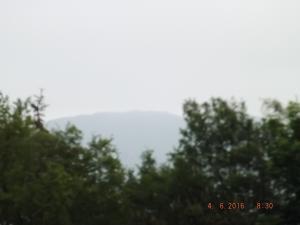 DSCF3782.JPG