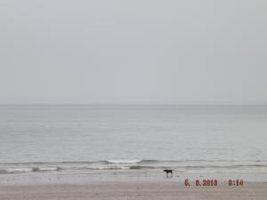 DSCF3785.JPG