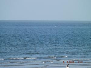DSCF3799.JPG