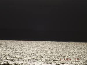 DSCF3797.JPG
