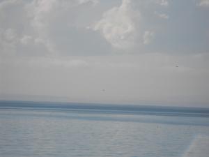 2011_0702beachforth3july0010.JPG
