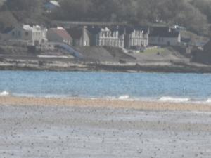 2011_0702beachforth3july0004.JPG
