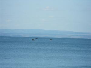 2011_0724beachforth24ulycruis0004.JPG
