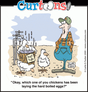 004-hot-tub-chickens.gif