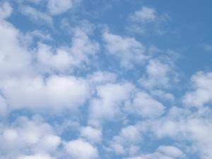 forth22.7.120725 006.JPG