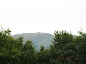 forth25.7.15 006.JPG