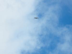 2010_08070002.JPG