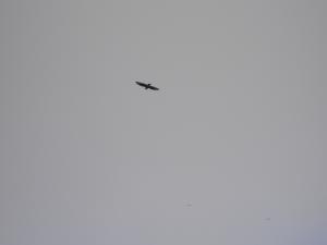 2010_08070001.JPG