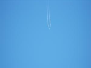 2010_08210003.JPG