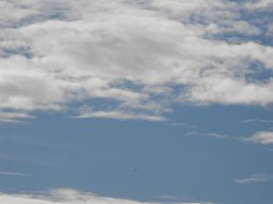 2010_08280018.JPG
