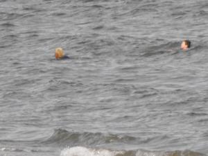 2011_0803SWIMMERS3rsaug0001.JPG