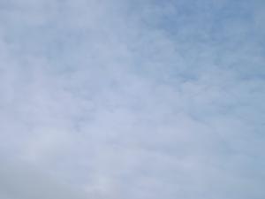 STAndrewsforth4.8.12 012.JPG