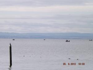 forth26.8.12 008.JPG