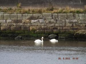 forth26.8.12 010.JPG