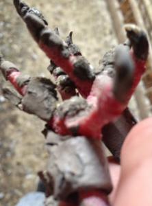post-30270-13761482196155_thumb.jpg