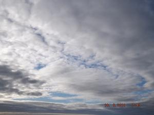 DSCF2031.JPG