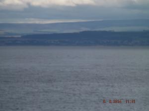 forth3.8.14 001.JPG